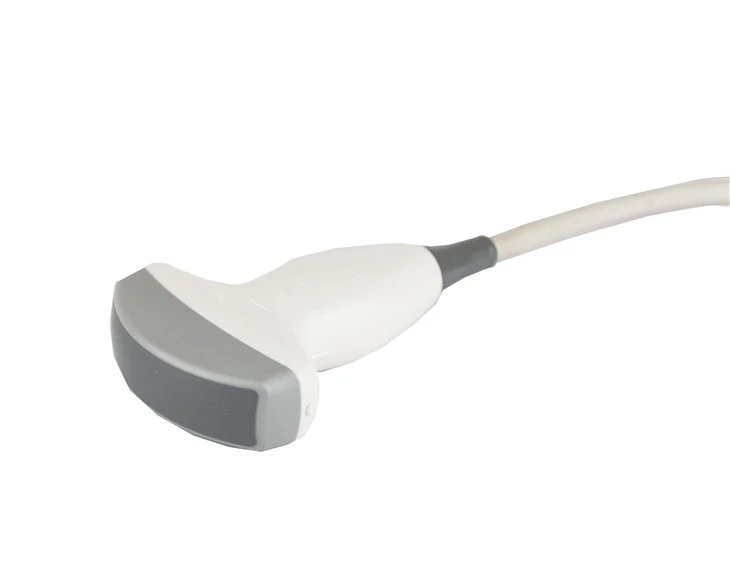 Convex Array Probe