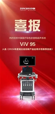 Zoncare ViV 95 reconocido como producto innovador de la provincia de Hubei en...