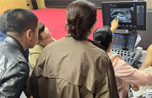 El entrenamiento nacional de ultrasonido musculoesquelético (Zhengzhou) concl...