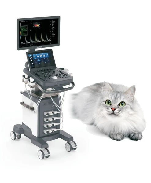 Sistema de ecografía Doppler color para uso veterinario
