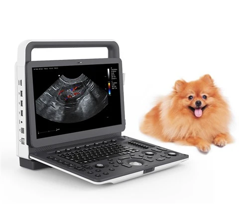 Sistema de ultrasonido Doppler color clásico portátil para uso veterinario